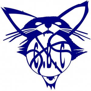 Combronde basket club